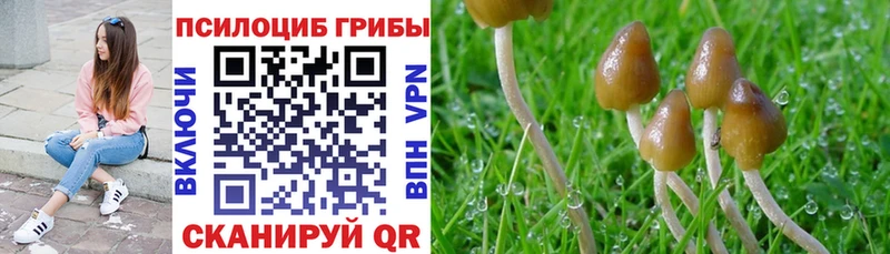 Псилоцибиновые грибы ЛСД  Ясногорск 