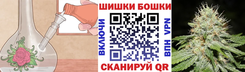 Бошки Шишки ГИДРОПОН Ясногорск
